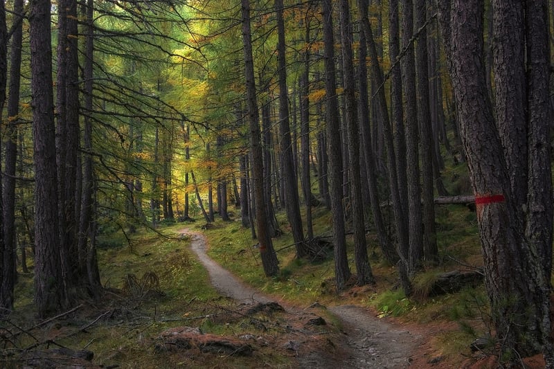 Legendary Trails